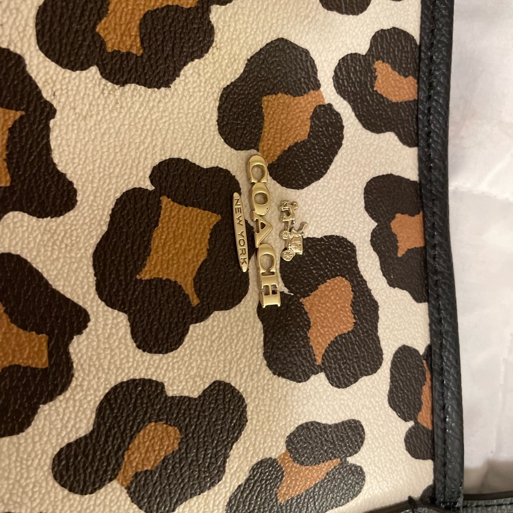 Authentic Coach - Picture 6 of 6